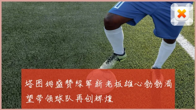 塔图姆盛赞绿军新老板雄心勃勃渴望带领球队再创辉煌